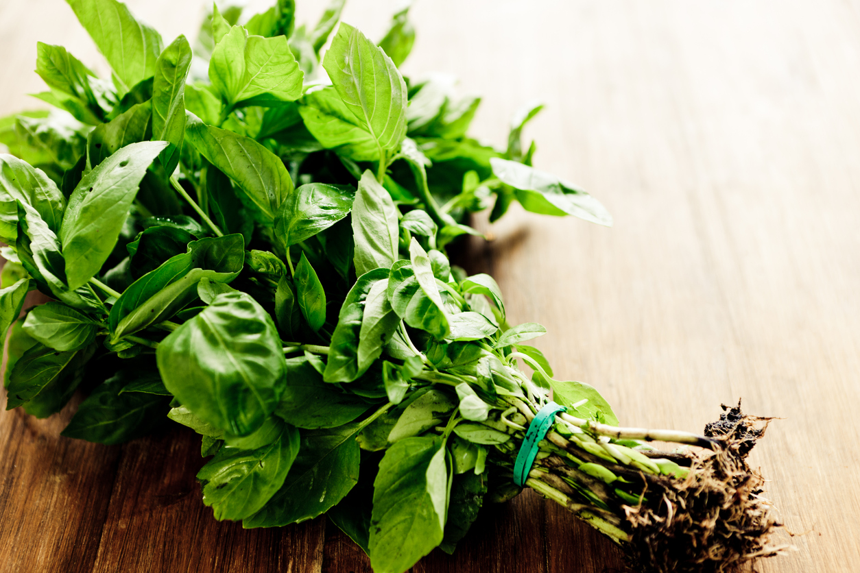 How to use basil