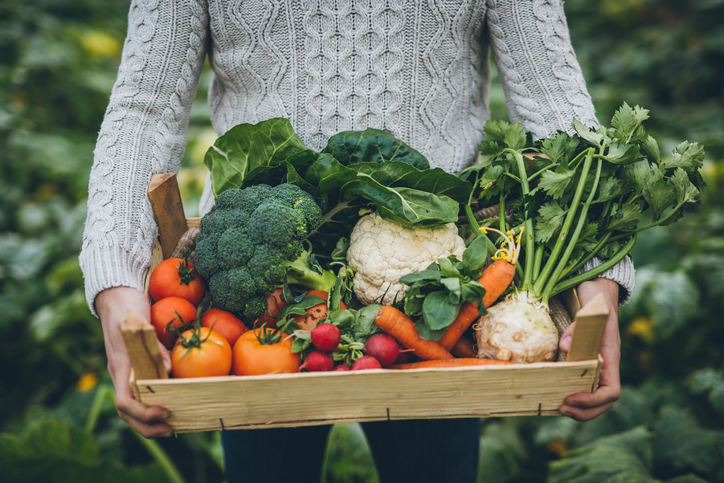 crate full of vegetables